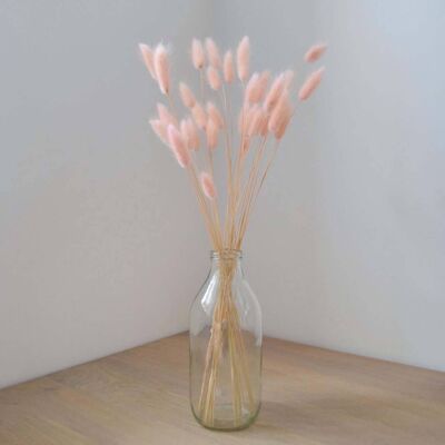 Blush Pink Bunny Tails - Bunch of 30 With Vase