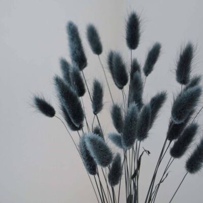 Charcoal Bunny Tails - Bunch of 30 With Vase