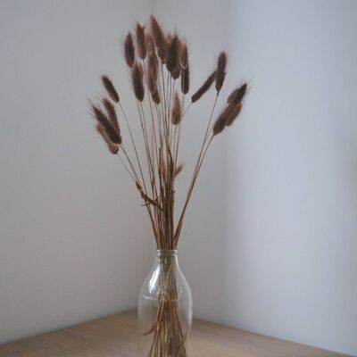 Chocolate Bunny Tails - Bunch of 30 With Vase