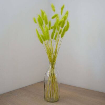 Lime Green Bunny Tails - Bunch of 30 With Vase