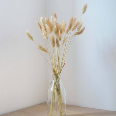 Natural Bunny Tails - Bunch of 30 With Vase