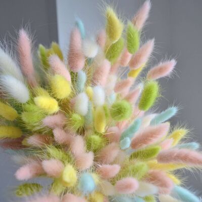 Pastel Bunny Tails - Bunch of 30 With Vase