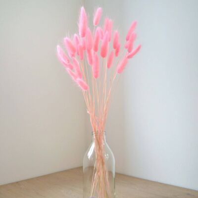 Pink Bunny Tails - Bunch of 30 Without Vase