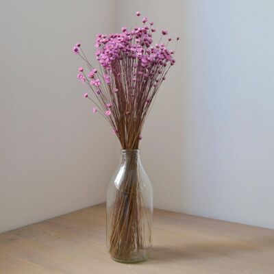 Purple Mini Daisies Dried Flower Bunch With Vase
