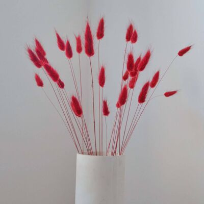Red Bunny Tails - Bunch of 30 With Vase