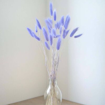 Violet Bunny Tails - Bunch of 30 With Vase