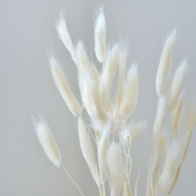 White Bunny Tails - Bunch of 30 With Vase