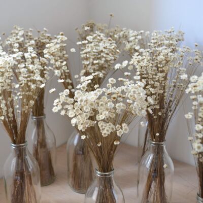 White Mini Daisies Dried Flower Bunch With Vase