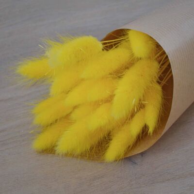 Yellow Bunny Tails - Bunch of 30 With Vase