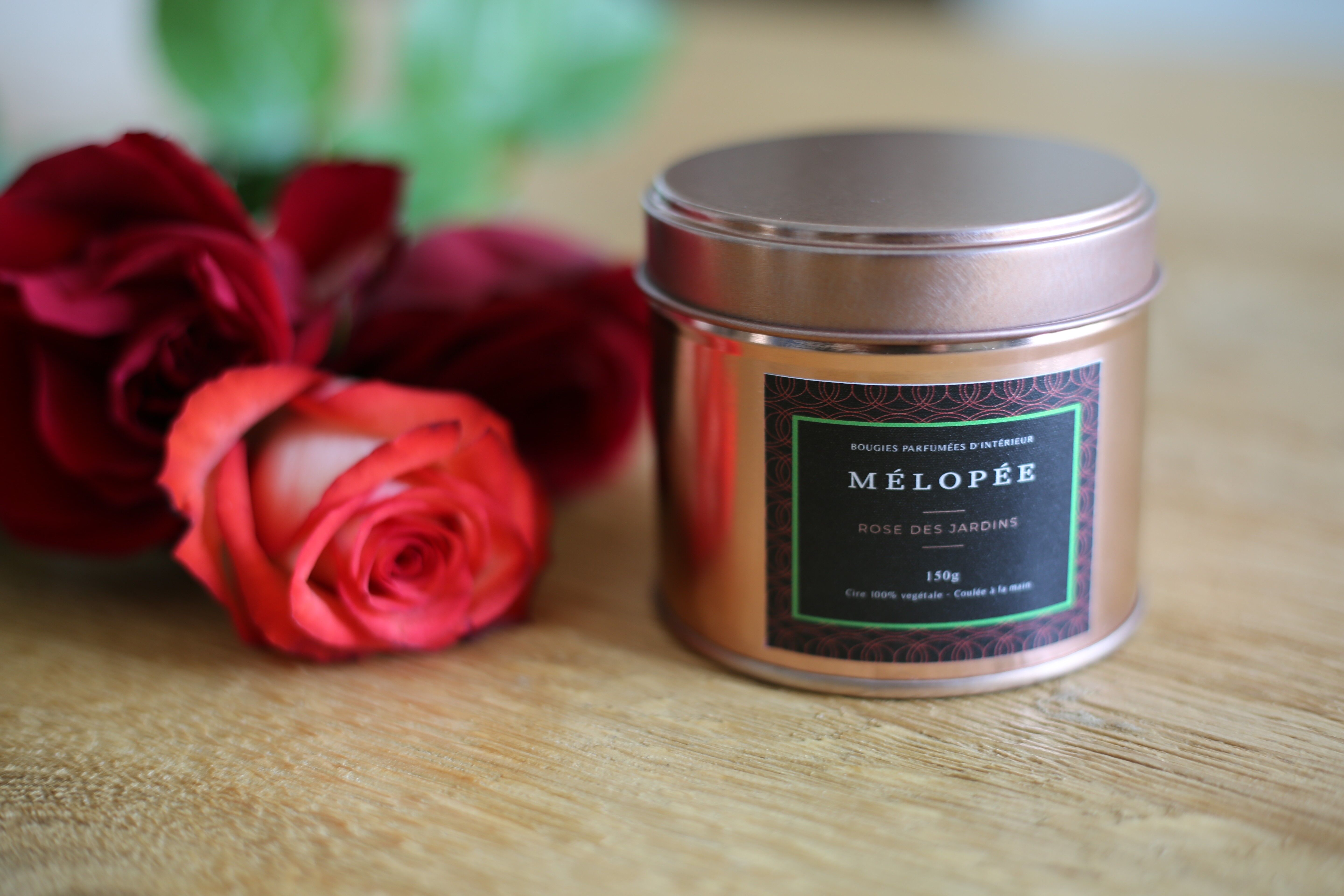 Candela MELOPEE di rose da giardino