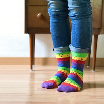 Rainbow constellation socks