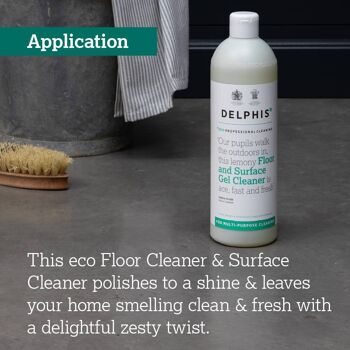Delphis Eco Floor & Surface Lemon Gel Cleaner - Concentré 2