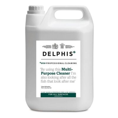 Delphis Eco Detergente Multiuso - Ricarica Concentrato