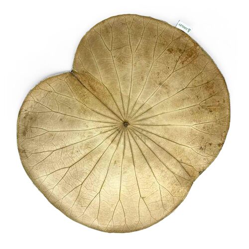 Natural Lotus Leaf Placemats - Set of Four