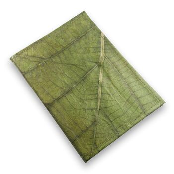 Journal rechargeable A5 en cuir de feuille de teck végétalien - vert feuille 1
