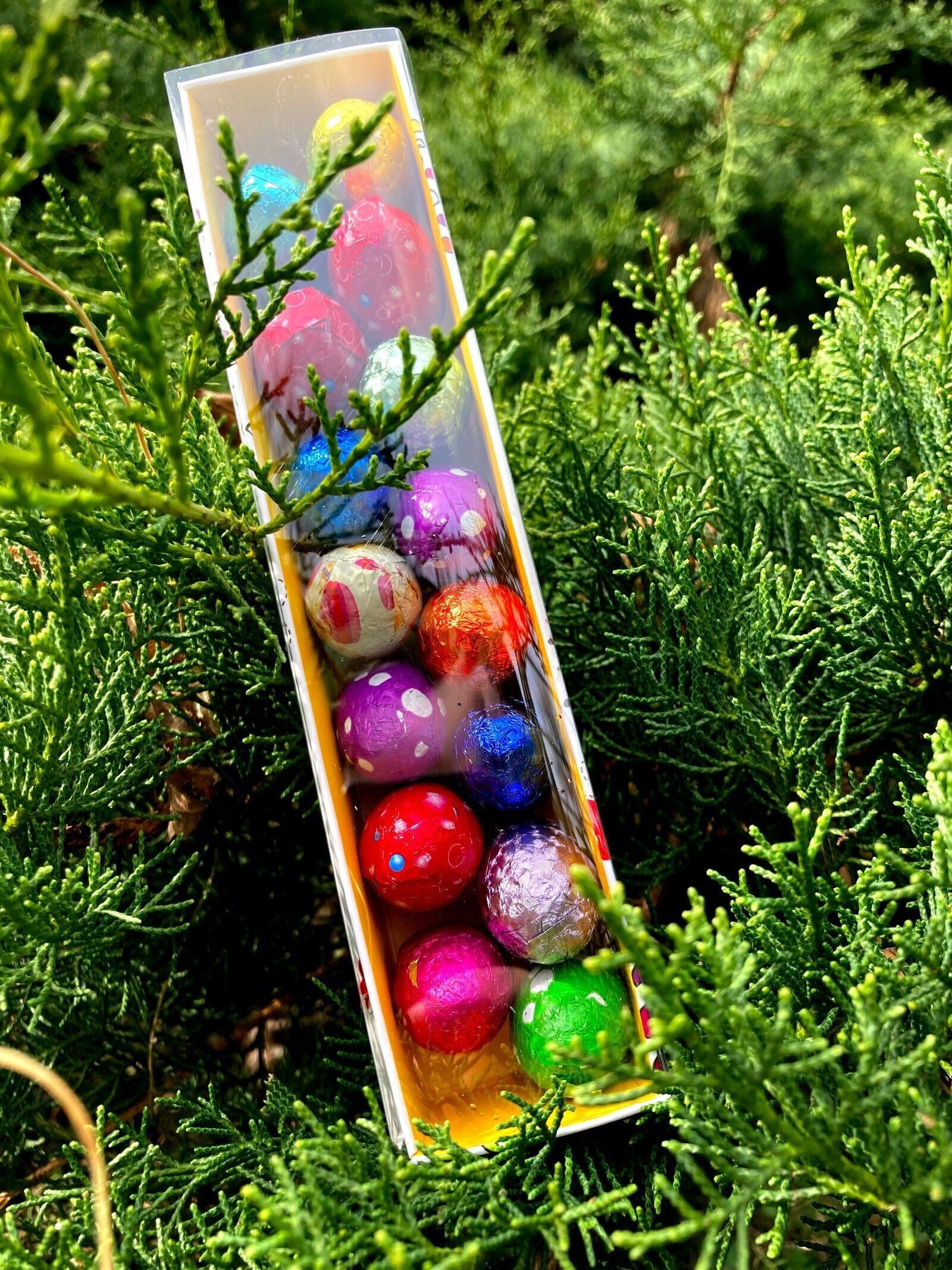 Striscia di Pasqua trasparente con uova ripiene di praline