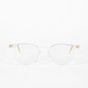 Lunettes anti-lumière bleue Ray Invisible 1