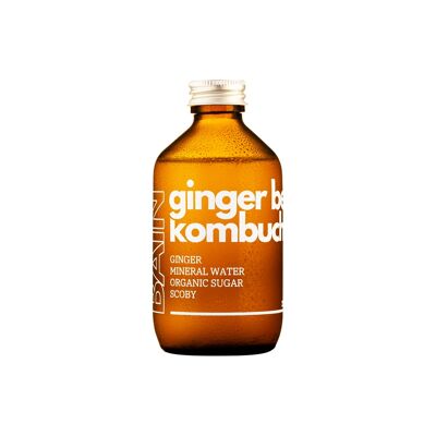 Ginger Beer Kombucha - 1 Liter