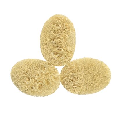 The Soap Factory Face Pad Loofah 3 Pack