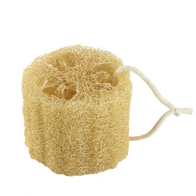 The Soap Factory Loofah Disc