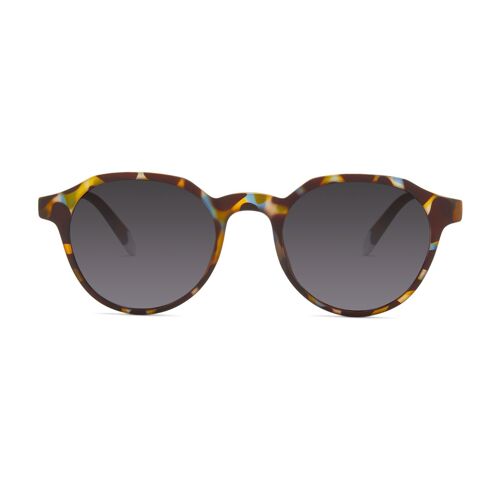 Chamberi Blue Tortoise Sunglasses
