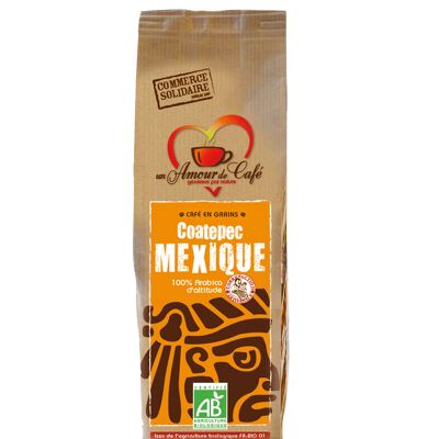 Granos de café orgánico México Coatepec