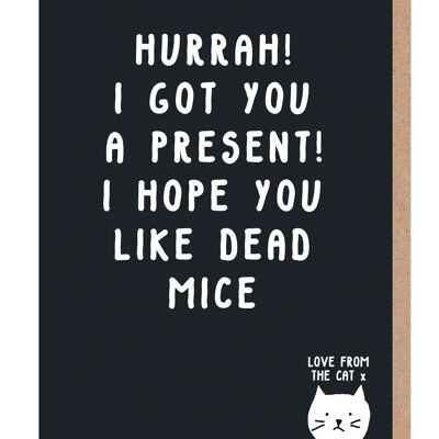 I Hope You Like Dead Mice Card From The Cat