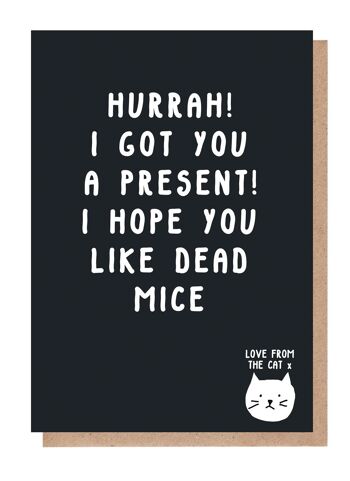 I Hope You Like Dead Mice Card From The Cat 1