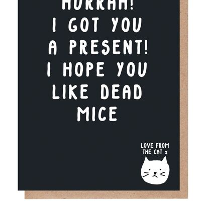 Espero que te guste la tarjeta de ratones muertos del gato