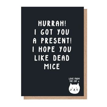 I Hope You Like Dead Mice Card From The Cat 3