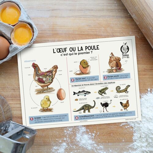 Lot de 10 cartes - L'Oeuf ou la Poule