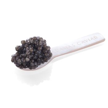 Caviar Adamas - Label Jaune Royal Sibérien - 30G 2