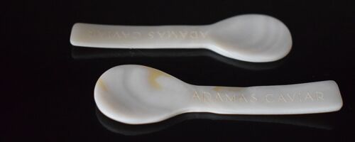 Mother of Pearl Spoon 2 Pack