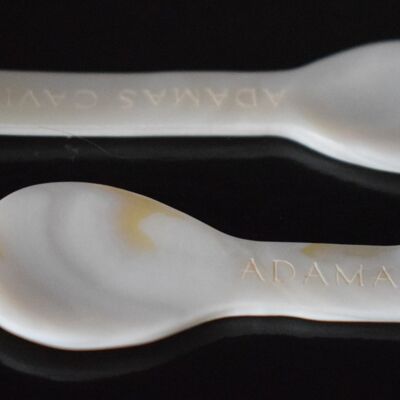 Mother of Pearl Spoon 2 Pack