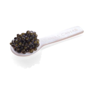 Caviar Adamas - Osciètre Premium Label Rose - 10g 2
