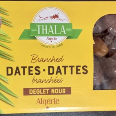 Dattes - Deglet Nour d'Algérie - 1 Kg