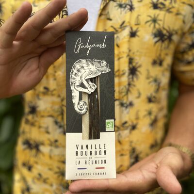 Organic Bourbon Vanilla - Reunion Island