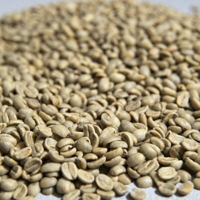 Rohkaffee 1 Kilo Caturra Washed (COL)