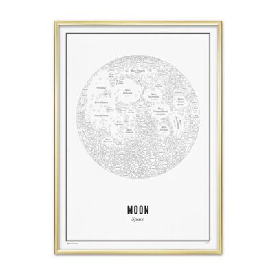 Prints - Moon - White