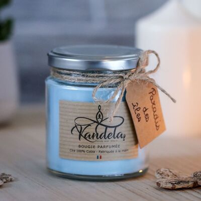 Paradise of the islands candle - 190g