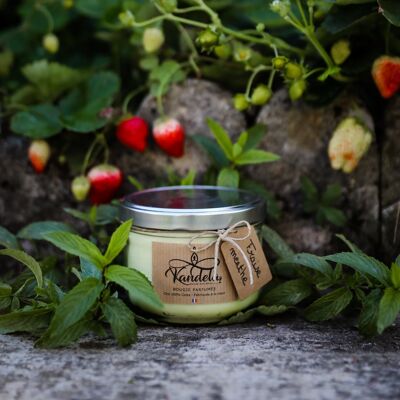 Candela alla menta fragola - 330g