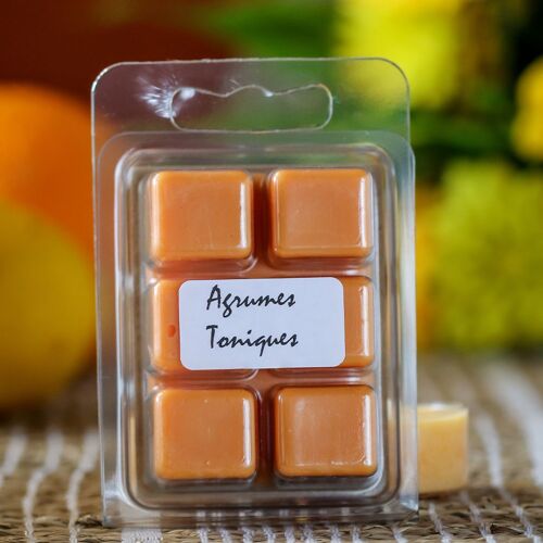 Fondant Agrumes toniques - 60g