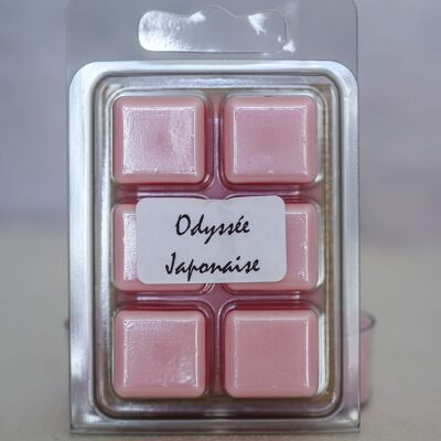 Japanese Odyssey fondant - 60g