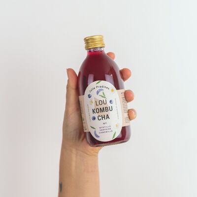 Lou Kombucha n°7  -  Myrtille, Camomille, Verveine 50cl