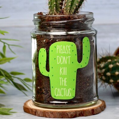 Kit per la coltivazione in vaso di cactus Don't Kill Me