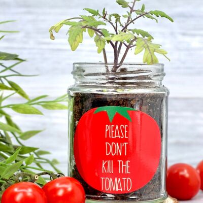 Don't Kill Me' Cherry Tomato Jar Grow Kit