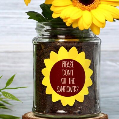 Don't Kill Me' Sunflower Jar Grow Kit