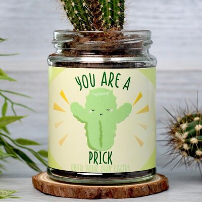 Cactus Jar Grow Kit