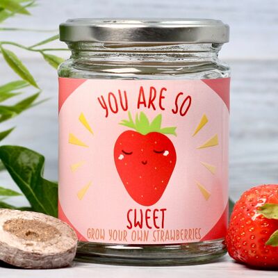 Sweet Strawberry Jar Growkit