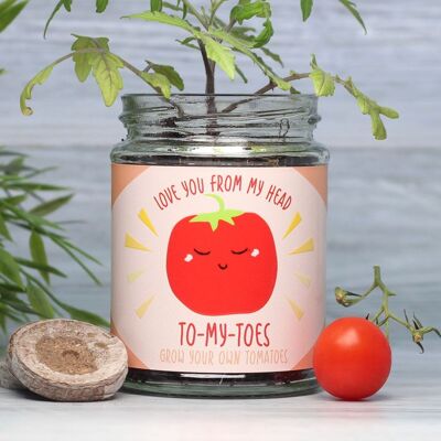 Kit de cultivo en tarro de tomate cherry